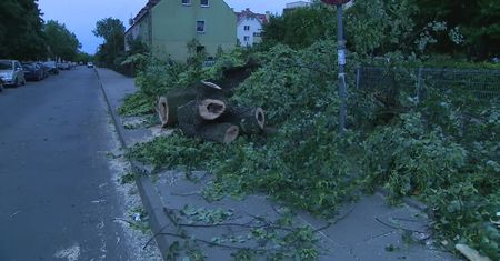 Połamane drzewa, zniszczone samochody i ponad 100 interwencji strażaków po przejściu wichury w Szczecinie