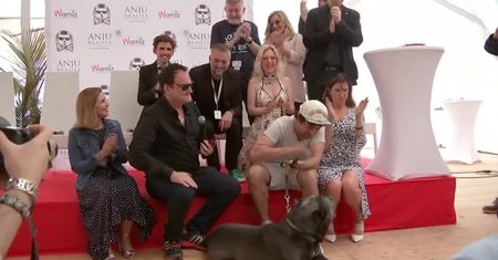 Pies z filmu Quentina Tarantino nagrodzony w Cannes