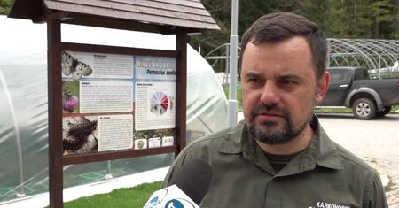 Nielegalny biwak w Karkonoskim Parku Narodowego zakończony mandatami