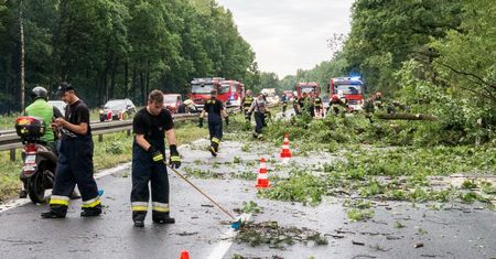 PSP: 901 interwencji związanych z usuwaniem skutków burz