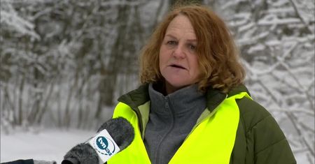 „To dla dobra dzików”. Ekolodzy uniemożliwili w organizację polowania w Borkach na Lubelszczyźnie