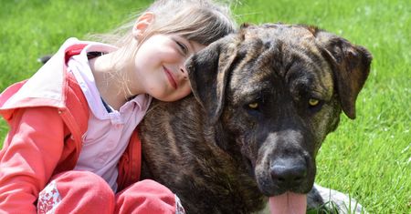 Obecność psów i terapia śmiechem przyspieszają powrót dzieci do zdrowia. Na takie rozwiązania decyduje się coraz więcej szpitali