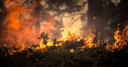 Pożar wysypiska śmieci w Jastrzębiu Zdroju