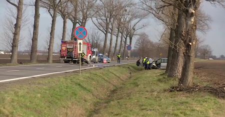 Dwa wypadki przez jelenia. Zginęła jedna osoba, 6 zostało rannych