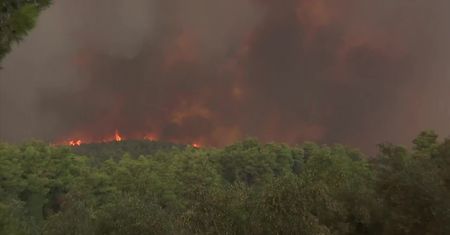 Pożary lasów w pobliżu Aten. Dym dotarł do stolicy Grecji