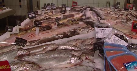 Dlaczego ryby powinny znaleźć się w naszej diecie?