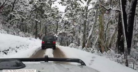 Wyzwanie dla kierowców w Australii. Na południu kraju spadł śnieg