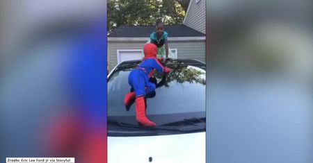 Mały Spider-man ruszył na ratunek starszej siostrze