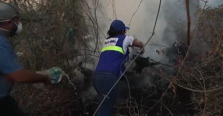 Ochotnicy zgłaszają się do gaszenia pożarów lasów w Boliwii