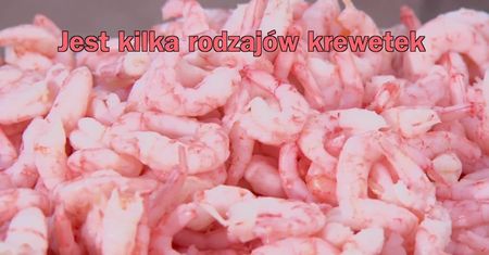 Dlaczego warto jeść krewetki?