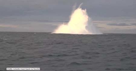 Torpeda z czasów II wojny światowej zdetonowana u wybrzeża Islandii
