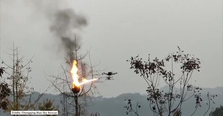 Dron z miotaczem ognia. Tak Chińczycy walczą z gniazdami os