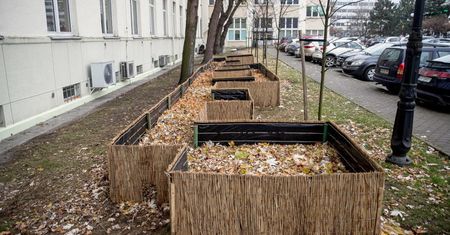Powstało osiedle domków dla jeży na terenie AGH w Krakowie
