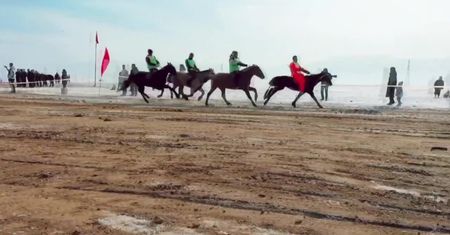 Ponad 100 koni wzięło udział w tradycyjnych wyścigach Mount Moni w Mongolii Wewnętrznej