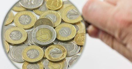 Ze spłatą długów nie radzi sobie 30 proc. zadłużonych