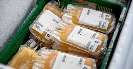 Wiceminister zdrowia: zapotrzebowanie na osocze jest pokrywane na bieżąco