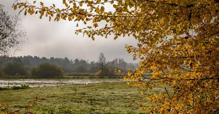 Czwartek przeważnie pochmurny. Lokalnie możliwe rozpogodzenia