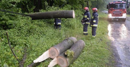 IMGW: ostrzeżenie przed silnym wiatrem dla pięciu województw