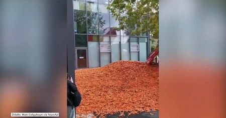 30 ton marchwi wysypanych na chodnik. Pokaz artysty miał zwrócić uwagę na różnice pomiędzy wsią a miastem