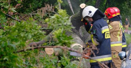 535 interwencji związanych z pogodą ostatniej doby; większość to usuwanie szkód po wietrze