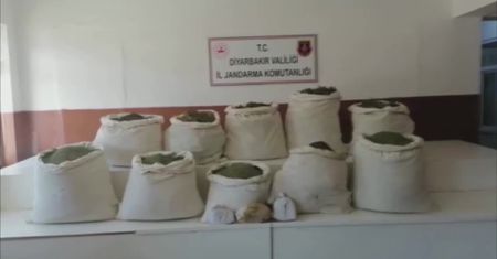 Tureckie służby przejęły ponad dwa miliony krzaków konopi indyjskich i setki kilogramów marihuany