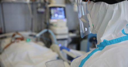 Prof. Butowt: duży procent chorych na COVID-19 wykazuje zaburzenia węchu i smaku