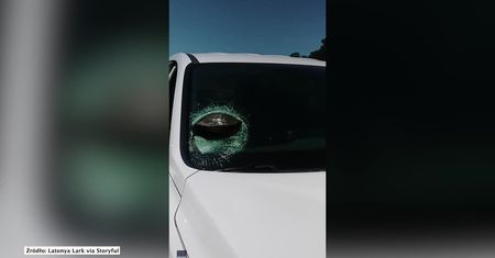 Żółw wbił się w przednią szybę samochodu. Niebezpieczny wypadek na autostradzie w USA
