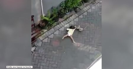 Małpa podjeżdża na mini bike’u i porywa dziecko. Dramatyczne nagranie z Indonezji