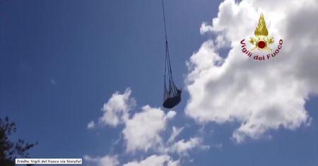 Krowa spadła z klifu i nie mogła się ruszyć. Strażacy przetransportowali ją za pomocą śmigłowca