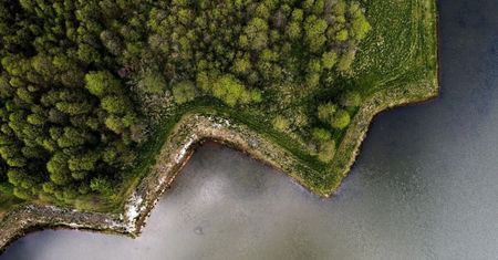 Zwiększone zagrożenie pożarowe w lasach