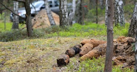 W lesie k. Mińska Maowieckiego. znaleziono niewybuchy; akcja wydobycia może potrwać kilka dni