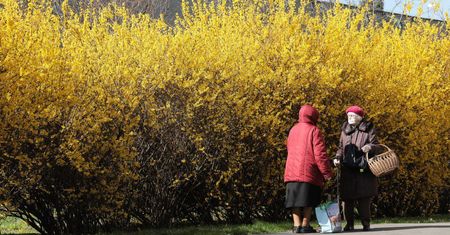 Emeryci i renciści z “trzynastkami” na kontach