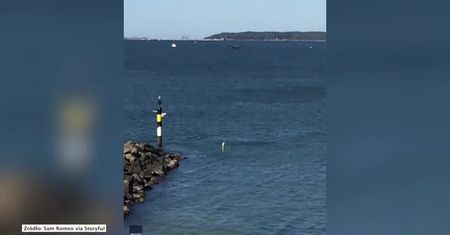 Łowienie ryb za pomocą drona. Sprytny sposób wędkarza z Sydney na czas pandemii