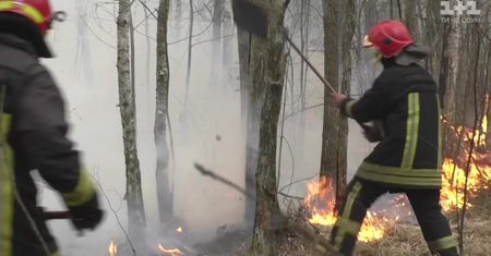 Trwa walka z pożarami lasów na Ukrainie. Strażacy korzystają z samolotów i specjalistycznego pociągu