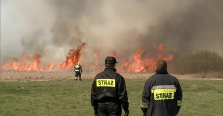 W Biebrzańskim Parku Narodowym spłonęło około 1,3 hektara bagien i lasu