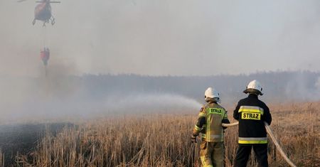 Pożar Biebrzańskiego Parku Narodowego to prawdziwy kataklizm