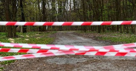 Od poniedziałku możemy spodziewać się otwarcia lasów, skwerów i terenów zielonych