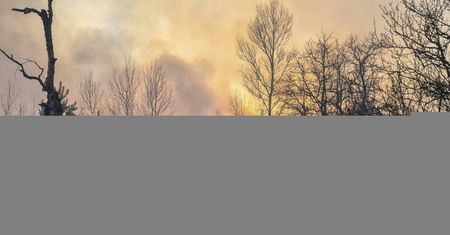 Państwowa Agencja Atomistyki zaprzecza informacjom o skażeniu promieniotwórczym w Polsce