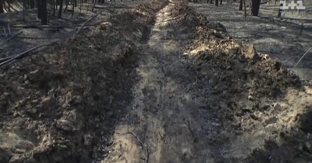 Pożar wokół Czarnobyla ugaszony. Ogień strawił 200 hektarów lasu