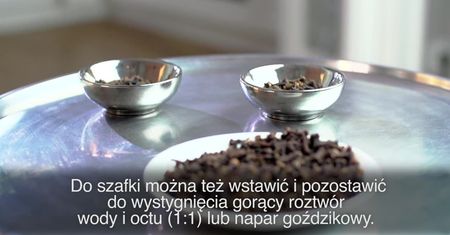 Jak pozbyć się moli spożywczych?