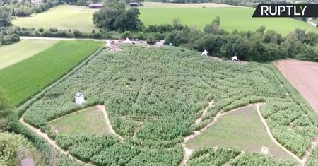 Niemieccy farmerzy stworzyli naturalny labirynt w kształcie twarzy Beethovena