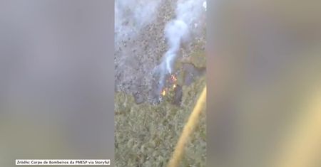 Pożar lasu na jednej z najwyższych gór w Brazylii. Strażacy transportowani są na szczyt za pomocą helikopterów