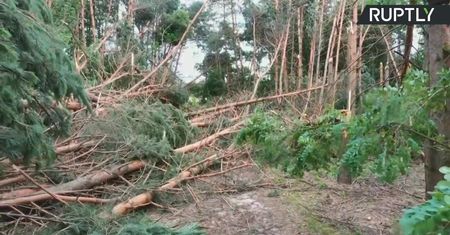 Potężne wichury na Białorusi. Dziesiątki domów pozbawionych elektryczności