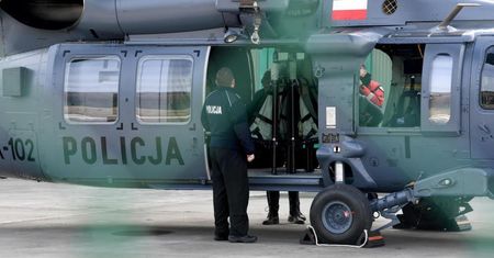 Śląscy policjanci poszukują pumy z użyciem m.in. śmigłowca; zwierzę zniknęło wraz z właścicielem