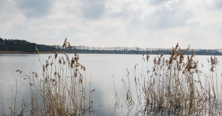 300 zł na hektar dla rybaków poszkodowanych przez ubiegłoroczną suszę lub powódź