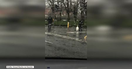 Policjanci odprowadzają łabędzia do domu