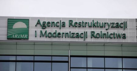 Rolnicy z terenów objętych ASF mogą starać się o pomoc na likwidację hodowli świń