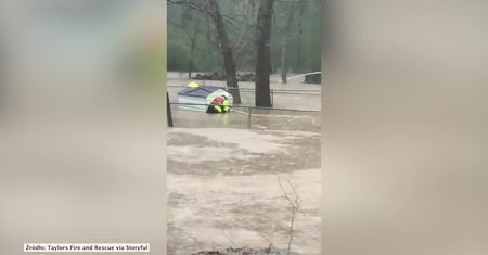 Pies uwięziony w budzie podczas powodzi. Uratowali go strażacy