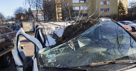 W związku z wichurą służby interweniowały 121 razy, w tym raz na morzu
