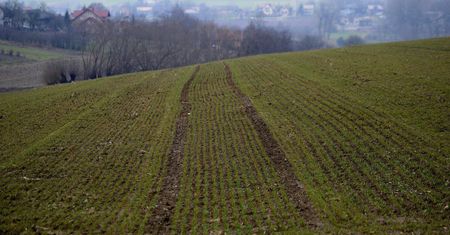 Od 15 lutego można stosować nawozy azotowe